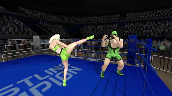 Wrestlers Without Boundaries screenshot 2