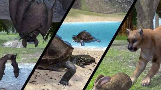 Thumbnail 10