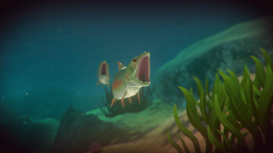 Feed and Grow: Fish Screenshot