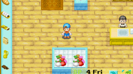 Harvest Moon: Friends of Mineral Town Screenshot