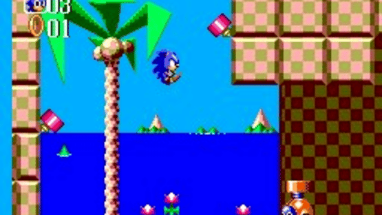 Sonic the Hedgehog Chaos Screenshot