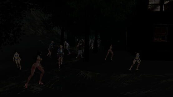 The beauties&zombies of beach for VR cover