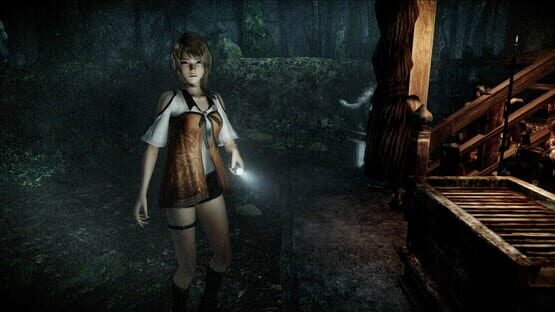 Képernyőkép erről: Fatal Frame: Maiden of Black Water