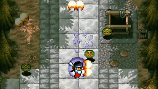 Pocky & Rocky Screenshot