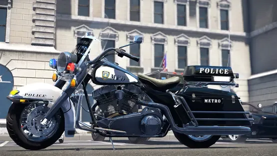 Police 1013 screenshot 2