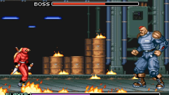 Ninja Warriors Screenshot