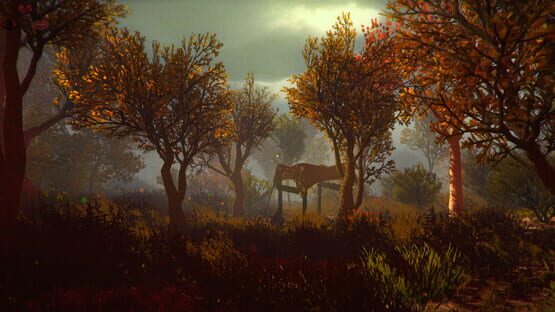 The Last Dogma cover