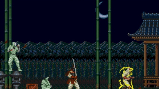 The Revenge of Shinobi Screenshot