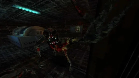 Screenshot 11