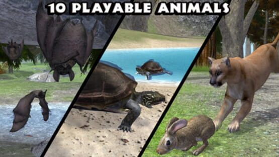 Thumbnail 9