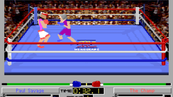 4D Sports Boxing Screenshot