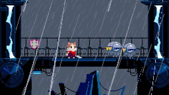 SWR JST DX Selective Memory Erase Effect cover