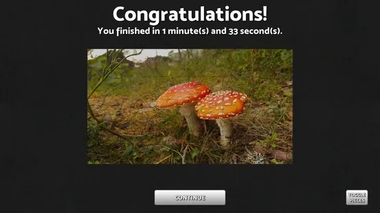 Puzzle Mania screenshot 5