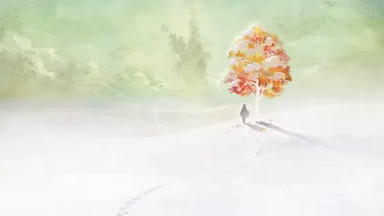 Thumbnail 13