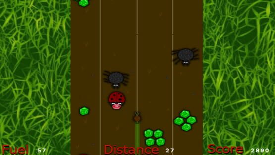 Snail Racer Extreme cover