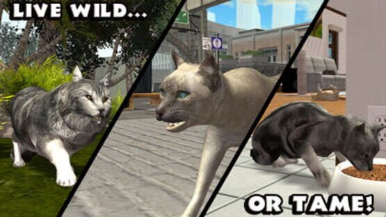 Ultimate Cat Simulator screenshot