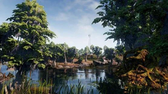Thumbnail 11