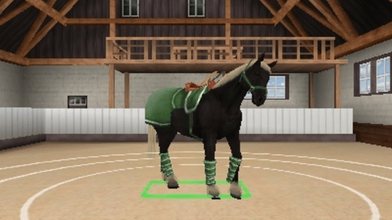 Best Friends: My Horse 3D Screenshot