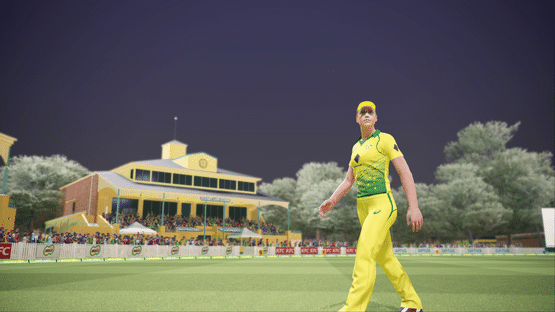 Ashes Cricket Screenshot