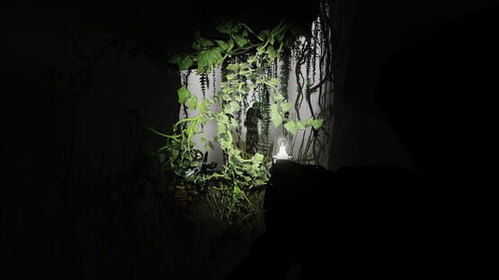 Mist of the Dark cover