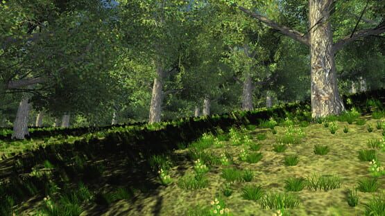 Trials of Wilderness cover