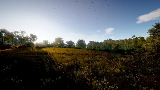Virtual-O screenshot 3