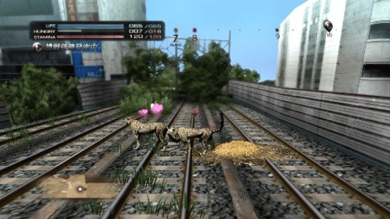 Tokyo Jungle Screenshot