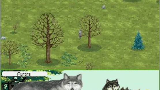 Wolf Screenshot