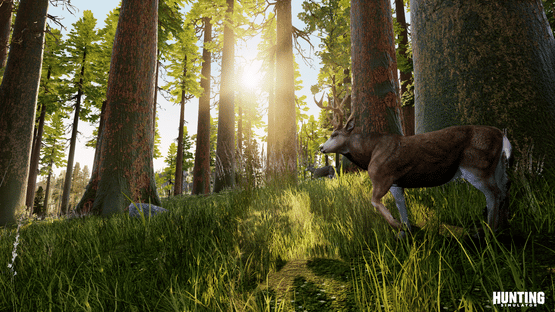 Hunting Simulator Screenshot