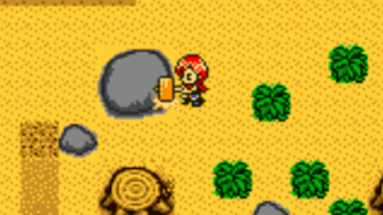 Harvest Moon 2 GBC Screenshot