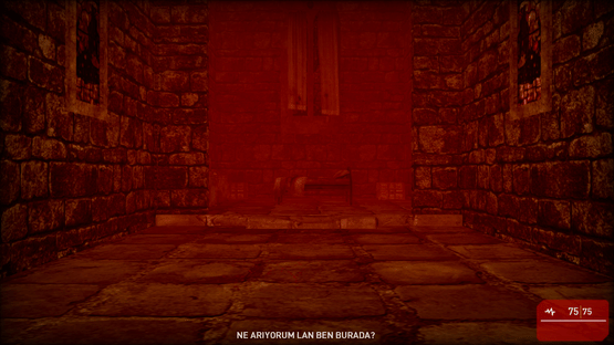 Murder Diaries: Ankara Screenshot