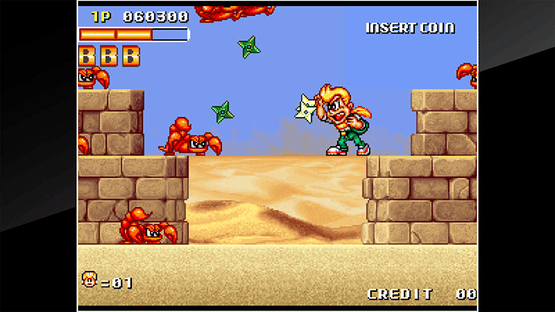 ACA Neo Geo: Spin Master Screenshot