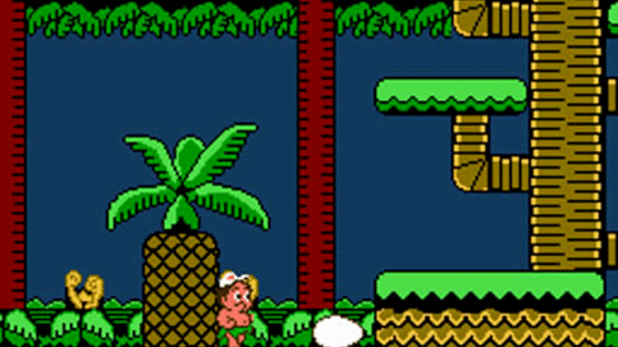 Adventure Island II Screenshot