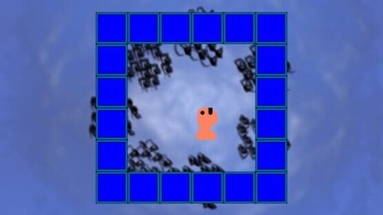 Don't Touch the Walls cover