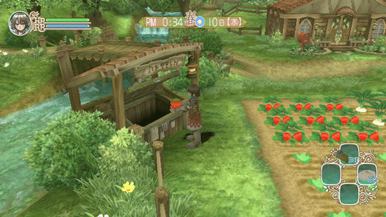 Rune Factory Frontier Screenshot