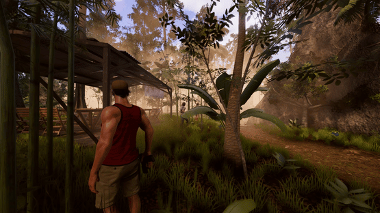 Deadly Tropics Screenshot