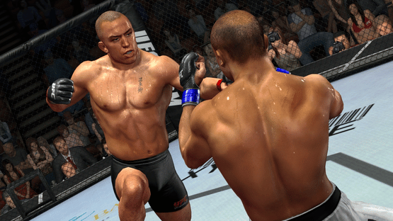 UFC: Tapout Screenshot