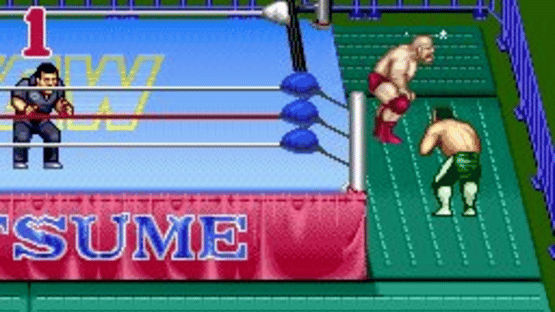 Natsume Championship Wrestling Screenshot