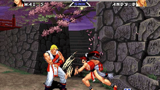 Real Bout Fatal Fury Special Screenshot