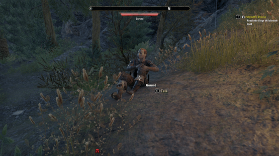 The Elder Scrolls Online: Horns of the Reach Screenshot