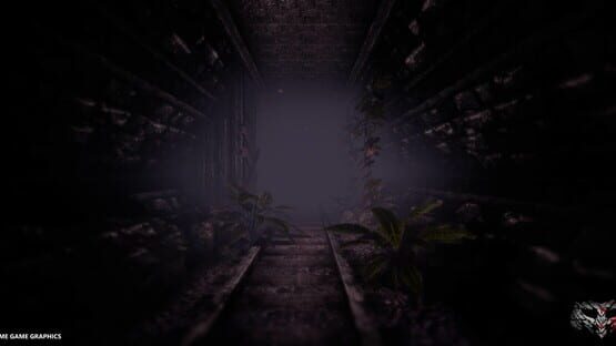 Amelia's Curse cover