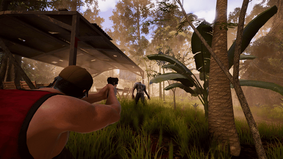 Deadly Tropics Screenshot