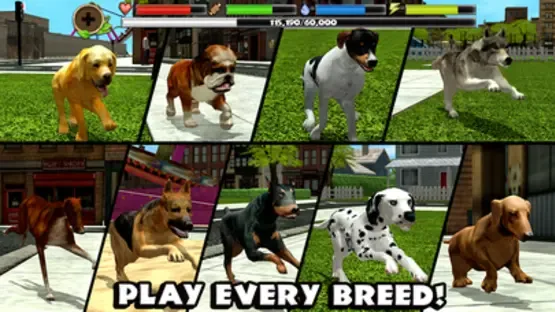 Thumbnail 6