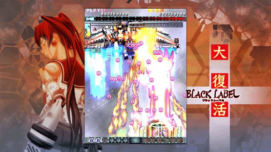 DoDonPachi Resurrection Screenshot