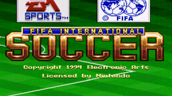 FIFA International Soccer Screenshot