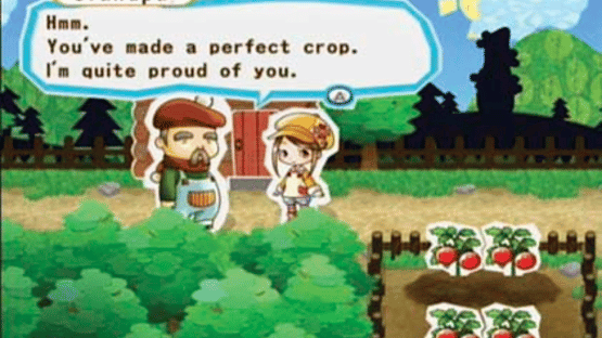 Harvest Moon: My Little Shop Screenshot