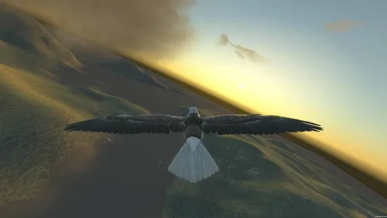 Aquila Bird Flight Simulator screenshot 3
