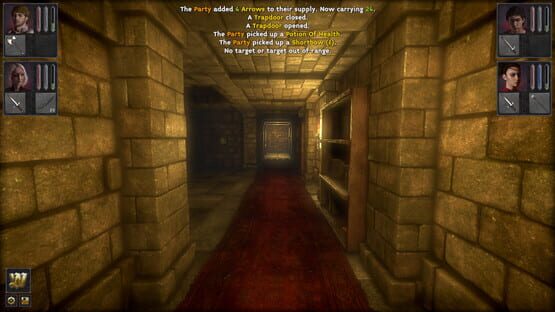 Képernyőkép erről: The Deep Paths: Labyrinth Of Andokost
