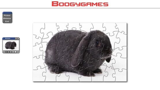 Rabbit: Jigsaw Puzzles cover