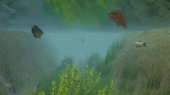 European Fishing screenshot 3